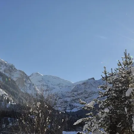 Authentic Chalet In The Heart Of Champry Village