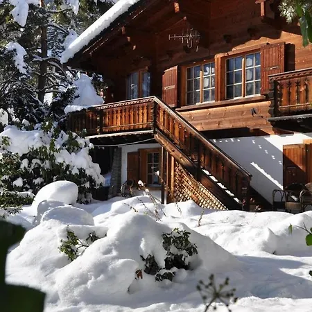 Authentic Chalet In The Heart Of Champry Village